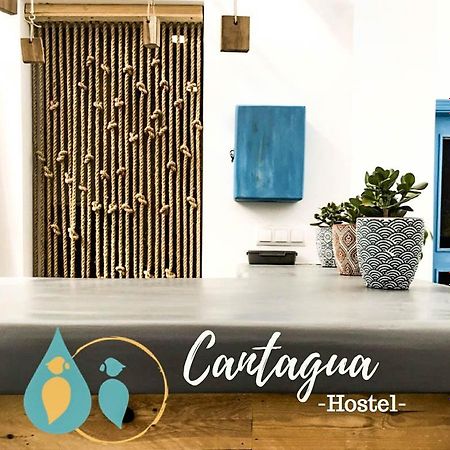 Cantagua Hostel Valencia Kültér fotó